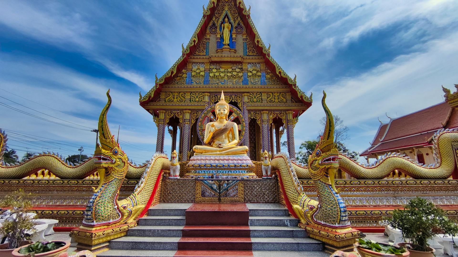 Learn Pattaya’s culture with expert guidance